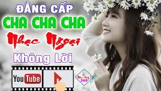 LK Cha Cha Cha Nhạc Ngoại Không Lời Đẳng Cấp Test Loa | Nhạc Hoa Tuyển Chọn Cực Hay || Nhạc Sống 365