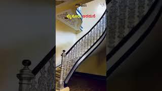 Mysuru Palace Tour  | Must-Visit Royal Wonder in Karnataka! #shorts