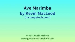 Ave Marimba by Kevin MacLeod 1 HOUR