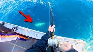 A DREAM COME TRUE ! GIANT Bluefin Tuna (Catch & Release) !!!