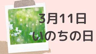 【３月１１日】今日は何の日？いのちの日「命の日、応援の日、防災意識を育てる日」