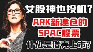 IPOB/Opendoor合并，女股神也玩投机？ARK新建仓SPAC(借壳上市)股票，该不该抄作业？什么是借壳上市？短线投机还是长期持有？