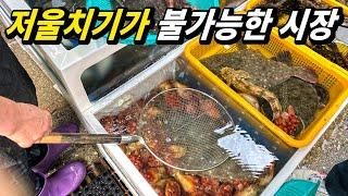 속초에 이런 시장이 있었어? 즉석에서 흥정해 제철 수산물 즐기기(입질의 해산로드 #15, 설악항편)