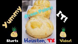 Dim Sum Time! | Ocean Palace | Houston Food Review