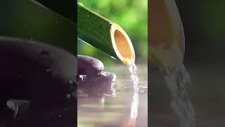 자연 소리와 함께하는 편안한 음악 + 물소리