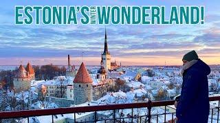 Serene Tallinn Streets | Estonia In January 2024