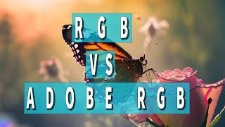 SRGB vs. Adobe RGB: Dlaczego To Ma Znaczenie Dla Twoich Obrazów