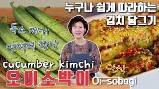 [김치쌤 이하연] 오이소박이 맛있게 담그는법 이하연 김치명인의 맛있는 봄 여름 김치