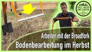 Bodenbearbeitung im Herbst - Umgraben oder Lockern? Gründüngung einsäen