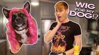 MAKING A WIG FOR MY DOG!? | Shop Will Beauty