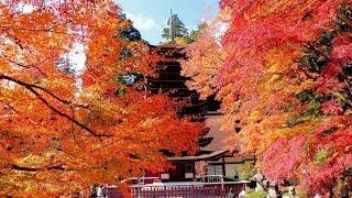 紅葉の談山神社