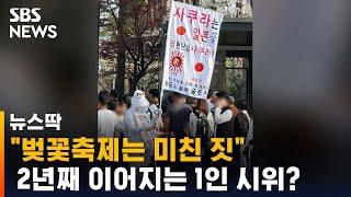 "벚꽃축제는 미친 짓"…2년째 이어지는 1인 시위? / SBS / 뉴스딱