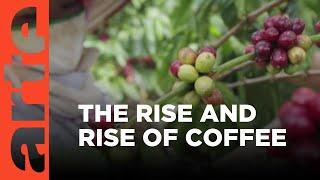 Coffee: A Global Beverage I ARTE Documentary