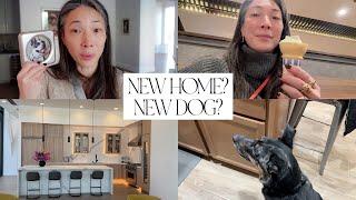 House Shopping? New Doggy? PR Haul and Dining Out Around Las Vegas