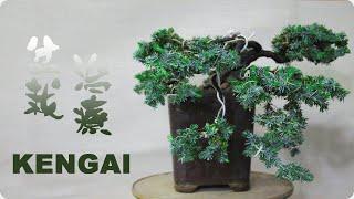 Cómo se hace Kengai - Estilos de Bonsai