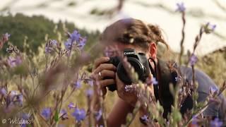 Wildpics Out and About: Macrophotography in the Atlas Mountains of Morocco