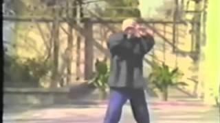 Fu Zhong Wen   Disciple of Yang Cheng Fu   Yang Tai Chi 85 Form