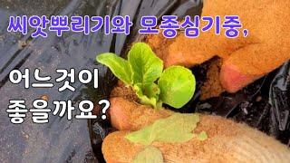 주말농장, 텃밭 초보자를 위한 가이드 #4 작물 심기와 재식거리