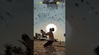 JK_DELWAR_26ভিতর কান্দে সখি আমার তোমার লাগি তুমি বুঝলানা #gaming #noakhali #Jalaram gutilo ki photo