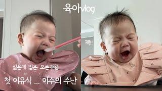 (VLOG) ep.34 [대환장 첫 이유식]  정보 대방출 육아 브이로그 5-6개월  초기 이유식 만들기 / 책육아 여름 기저귀 비교 닥터로하스 유산균