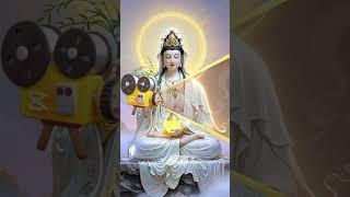 Lợi Cho Người - Phúc Cho Mình #loivangphatday #trietlycuocsong #hieuvathuong #songchamlai