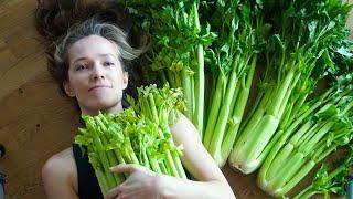I drank celery juice for 30 days, and this is what happened...