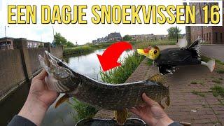 Een dagje snoekvissen 16 (Topwater actie en aanbeten!)