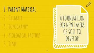 5 Soil Forming Factors