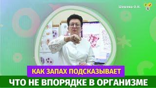 О чем расскажет пот, как запах подсказывает, что не в порядке в организме?