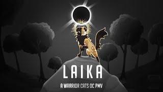Laika | Warriors OC PMV | Minor Blood Warning