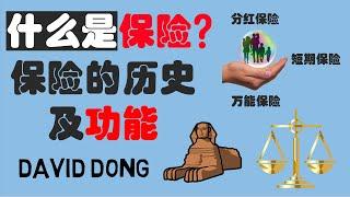 保险是什么？保险的历史？一个小故事带你了解几种保险功能及保险公司3大盈利来源 “盘子的故事” | David科普