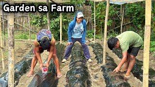 Ang ganda na ng Farm at Nagtanim kami ng Labanos at ibapa! Update sa aking Gamutan | BUHAY PROBINSYA