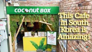 A Visit to an Amazing Cafe - Coconut Box Bakery Cafe and Gallery at Hongdae, Seoul, South Korea
