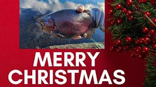 Lake Fishing Winter Trout Slam!  (Merry Christmas)