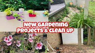 ⭐️ GARDEN EDITION⭐️ Starting a new garden area, starting bare roots and new flower area