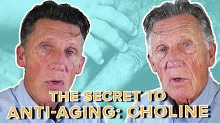 The Secret to Anti-aging: Choline