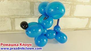 СОБАЧКА ИЗ ШАРИКОВ-КОЛБАСОК perrito facil con globos largos Balloon Animal Dog DIY TUTORIAL