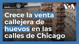 Crece la venta callejera de huevos en las calles de Chicago