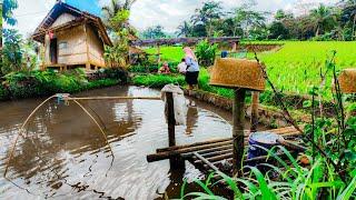 Hidup Rukun Dan Damai Di kampung Yang Subur,Makmur Dan Indah Alamnya. Pedesaan Jawa Barat