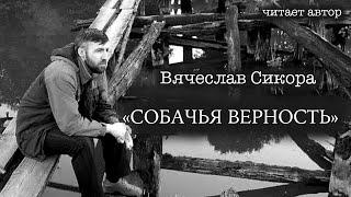 Вячеслав Сикора.  "СОБАЧЬЯ ВЕРНОСТЬ". Аудиорассказ. Читает автор.