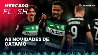 As novidades de Catamo | MERCADO FLASH