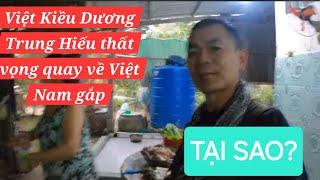 Vì sao Việt Kiều Dương Trung Hiếu vội vã về VN sớm?