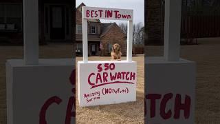 My dog scammed me!