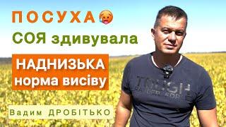 Що допомогло сої Вадима Дробітько перенести жорстку посуху