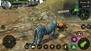 The Tiger Online Simulator -  Hunt Champs for the Quest and i Help a little the tiger with low lvl