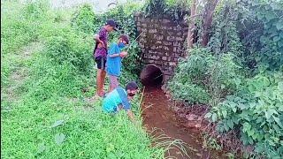 Village fish catching || best way to catch...