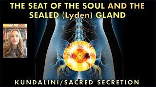 The SEAT OF THE SOUL and the SEALED Lyden Gland - Raise the Energy from the Sacral Chakra