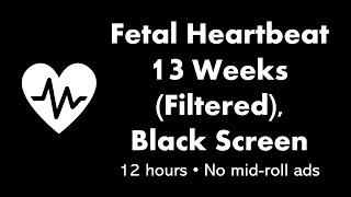 Fetal Heartbeat - 13 Weeks (Filtered) ⬛ • 12 hours • No mid-roll ads