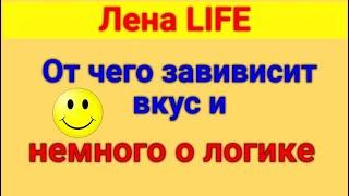 Лена LIFE. Обзор влогов.  25 11  2024 Лена