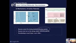 SNN : Spiking Neural Network (1) 뉴런의 생물학적 원리 | 연세대학교 CogSci:IN